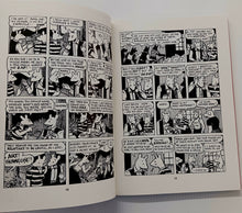 Load image into Gallery viewer, MAUS (BOXED SET) - Art Spieglman