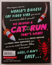 Load image into Gallery viewer, CAT ON THE RUN - Aaron Blabey