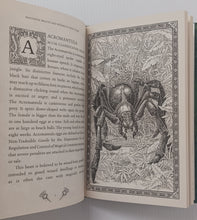 Load image into Gallery viewer, FANTASTIC BEASTS AND WHERE TO FIND THEM - J.K. Rowling