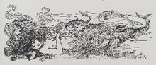 Load image into Gallery viewer, THE LITTLE MERMAID - Hans Christian Andersen