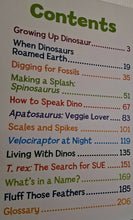 Load image into Gallery viewer, 5-MINUTE DINOSAUR STORIES - Moira Rose Donohue