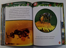 Load image into Gallery viewer, 5-MINUTE DINOSAUR STORIES - Moira Rose Donohue