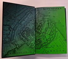 Load image into Gallery viewer, THE TENANT - Katrine Enberg