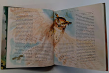 Load image into Gallery viewer, HARRY POTTER AND THE PHILOSOPHER'S STONE - J.K. Rowling, Jim Kay