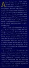 Load image into Gallery viewer, THE NOBLEMAN'S GUIDE TO SCANDAL AND SHIPWRECKS - Mackenzie Lee