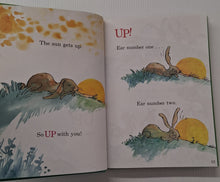 Load image into Gallery viewer, THE BIG GREEN BOOK OF BEGINNER BOOKS - Dr. Seuss, Theo LeSieg