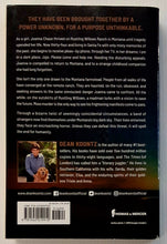 Load image into Gallery viewer, THE BIG DARK SKY - Dean Koontz
