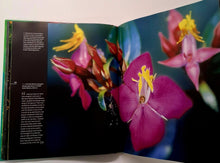 Load image into Gallery viewer, RAINFOREST - Thomas Marent