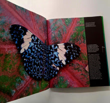 Load image into Gallery viewer, RAINFOREST - Thomas Marent