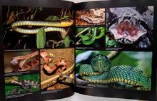 Load image into Gallery viewer, RAINFOREST - Thomas Marent