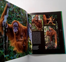 Load image into Gallery viewer, RAINFOREST - Thomas Marent