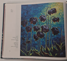 Load image into Gallery viewer, THE ART OF ADAM YOUNG - Adam Young