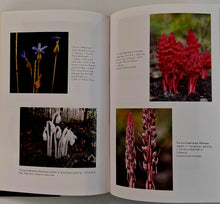 Load image into Gallery viewer, ENTANGLED LIFE - Melvin Sheldrake