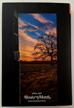 Load image into Gallery viewer, EVERY SWEET THING IS BITTER - Samantha Crewson