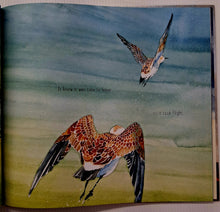 Load image into Gallery viewer, FEATHERS - Phil Cummings