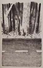 Load image into Gallery viewer, PAX - Sara Pennypacker