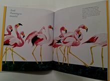 Load image into Gallery viewer, SHALL WE DANCE? - Robin Page