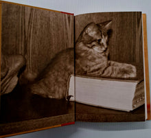 Load image into Gallery viewer, DEWEY - Vicki Myron, Bret Witter