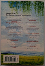 Load image into Gallery viewer, RISE AND SHINE, BENEDICT STONE - Phaedra Patrick
