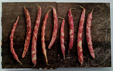 Load image into Gallery viewer, PLANT-BASED COOKBOOK - Trish Sebben-Krupka
