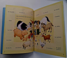 Load image into Gallery viewer, FIRST FRENCH WORDS STICKER BOOK - Usborne Books