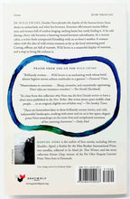 Load image into Gallery viewer, WILD SWIMS - Dorthe Nors