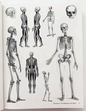 Load image into Gallery viewer, IMAGES OF MEDICINE - Jim Harter