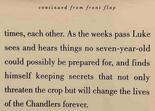 Load image into Gallery viewer, A PAINTED HOUSE - John Grisham