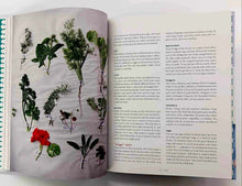 Load image into Gallery viewer, THE FAMILY COOKS - Laurie David, Kirstin Uhrenholdt, Quentin Bacon, Katie Couric