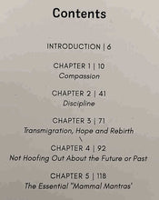 Load image into Gallery viewer, THE DOLLY LLAMA - Stephen Morrison