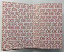 Load image into Gallery viewer, THE ENGLISHMAN WHO POSTED HIMSELF AND OTHER CURIOIUS OBJECTS - John Tingey