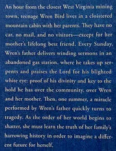 Load image into Gallery viewer, SHINER - Amy Jo Burns