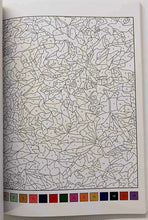 Load image into Gallery viewer, COLOUR BY NUMBERS - Coup d'oeil Publishing