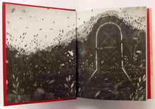 Load image into Gallery viewer, GALLANT - V.E. Schwab