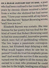 Load image into Gallery viewer, THE SWAN'S NEST - Laura McNeal