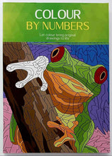 Load image into Gallery viewer, COLOUR BY NUMBERS - Coup d'oeil Publishing
