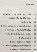 Load image into Gallery viewer, HOMER'S ODYSSEY - Gwen Cooper