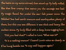 Load image into Gallery viewer, MELTING STONES - Tamora Pierce