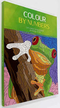 Load image into Gallery viewer, COLOUR BY NUMBERS - Coup d'oeil Publishing
