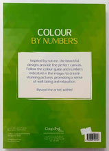 Load image into Gallery viewer, COLOUR BY NUMBERS - Coup d'oeil Publishing