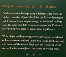 Load image into Gallery viewer, THE WONDER OF CHRISTMAS - Ken Petersen, Randy Petersen