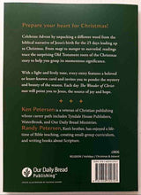 Load image into Gallery viewer, THE WONDER OF CHRISTMAS - Ken Petersen, Randy Petersen