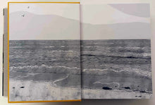 Load image into Gallery viewer, DUCKS - Kate Beaton