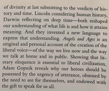 Load image into Gallery viewer, ANGELS AND AGES - Adam Gopnik