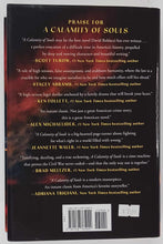 Load image into Gallery viewer, A CALAMITY OF SOULS - David Baldacci