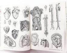 Load image into Gallery viewer, IMAGES OF MEDICINE - Jim Harter