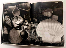 Load image into Gallery viewer, A PHOTOGRAPHER'S LIFE - Annie Leibovitz