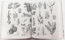 Load image into Gallery viewer, IMAGES OF MEDICINE - Jim Harter