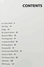 Load image into Gallery viewer, WILD SWIMS - Dorthe Nors