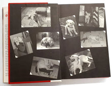 Load image into Gallery viewer, MARLEY & ME - John Grogan